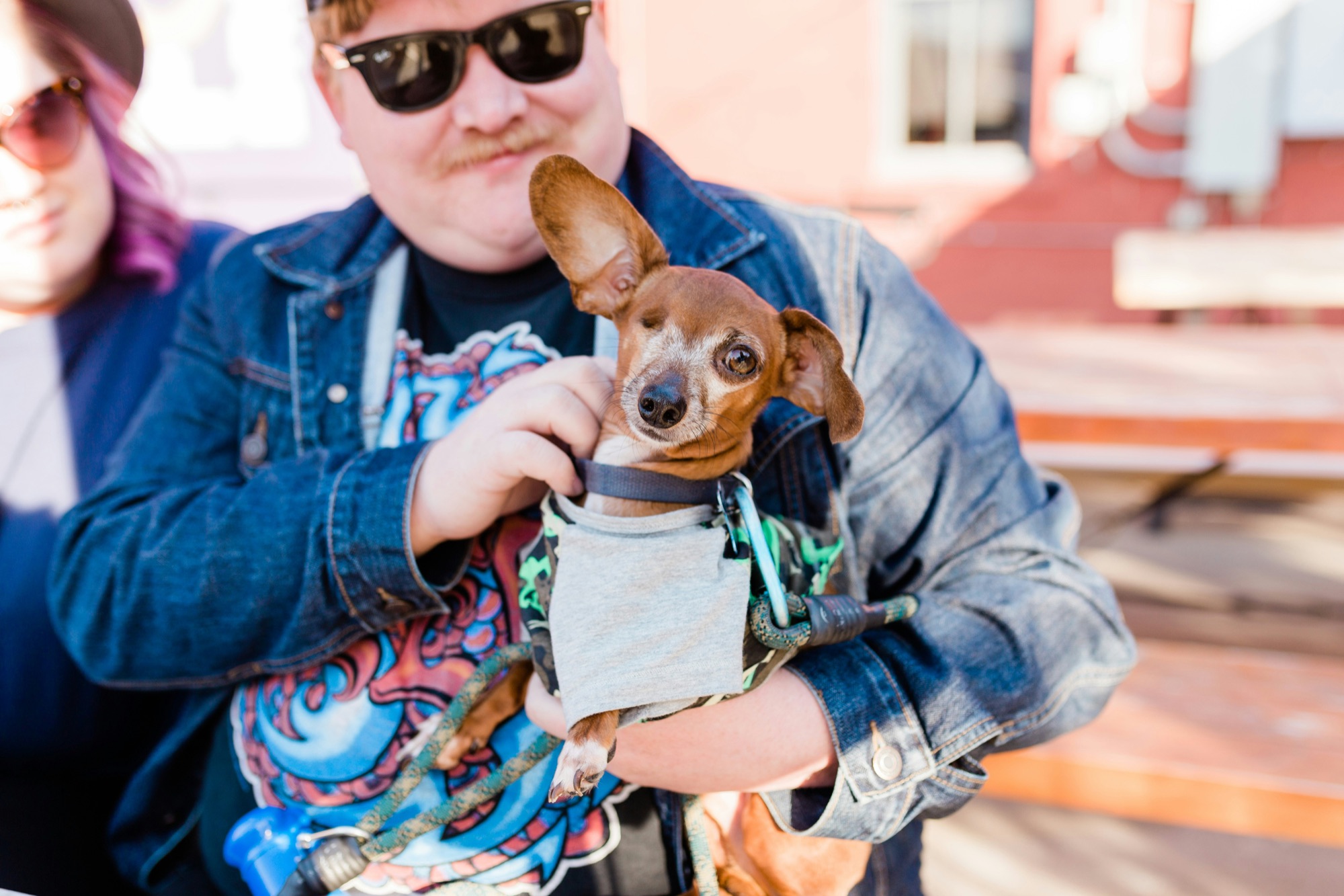 A volunteer with a rescue dog